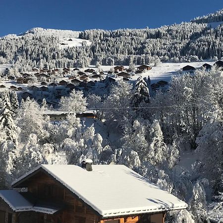 Au Bois De Lune Chatel Luaran gambar