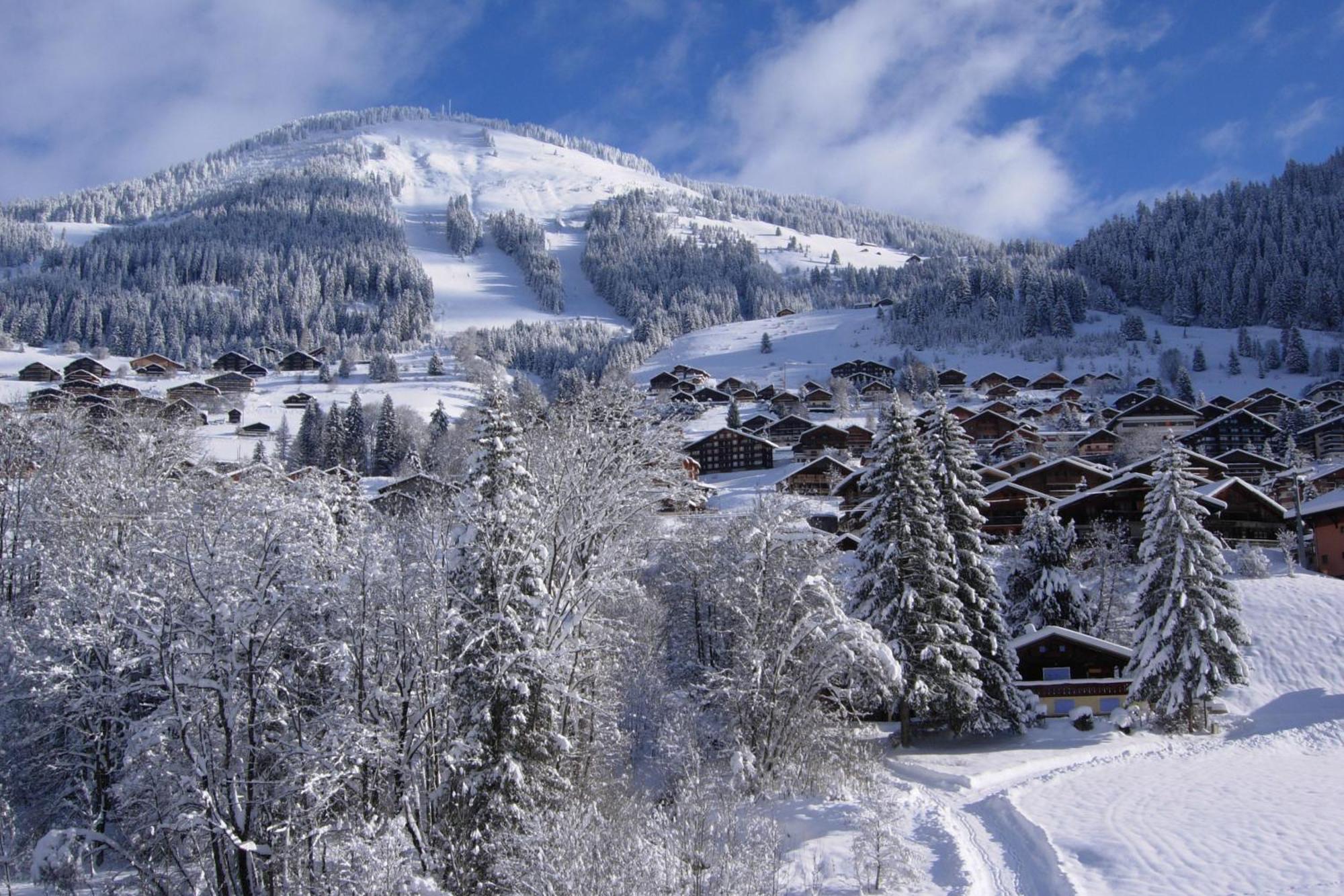 Au Bois De Lune Chatel Luaran gambar