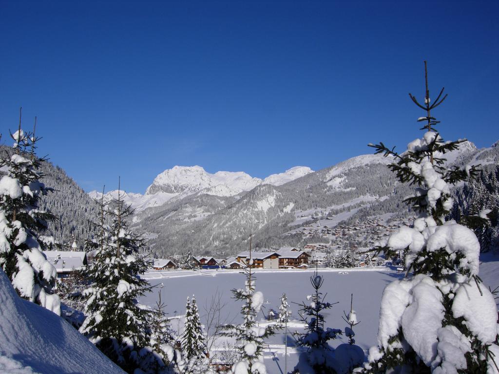 Au Bois De Lune Chatel Luaran gambar