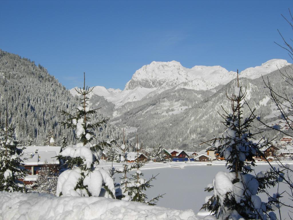 Au Bois De Lune Chatel Luaran gambar