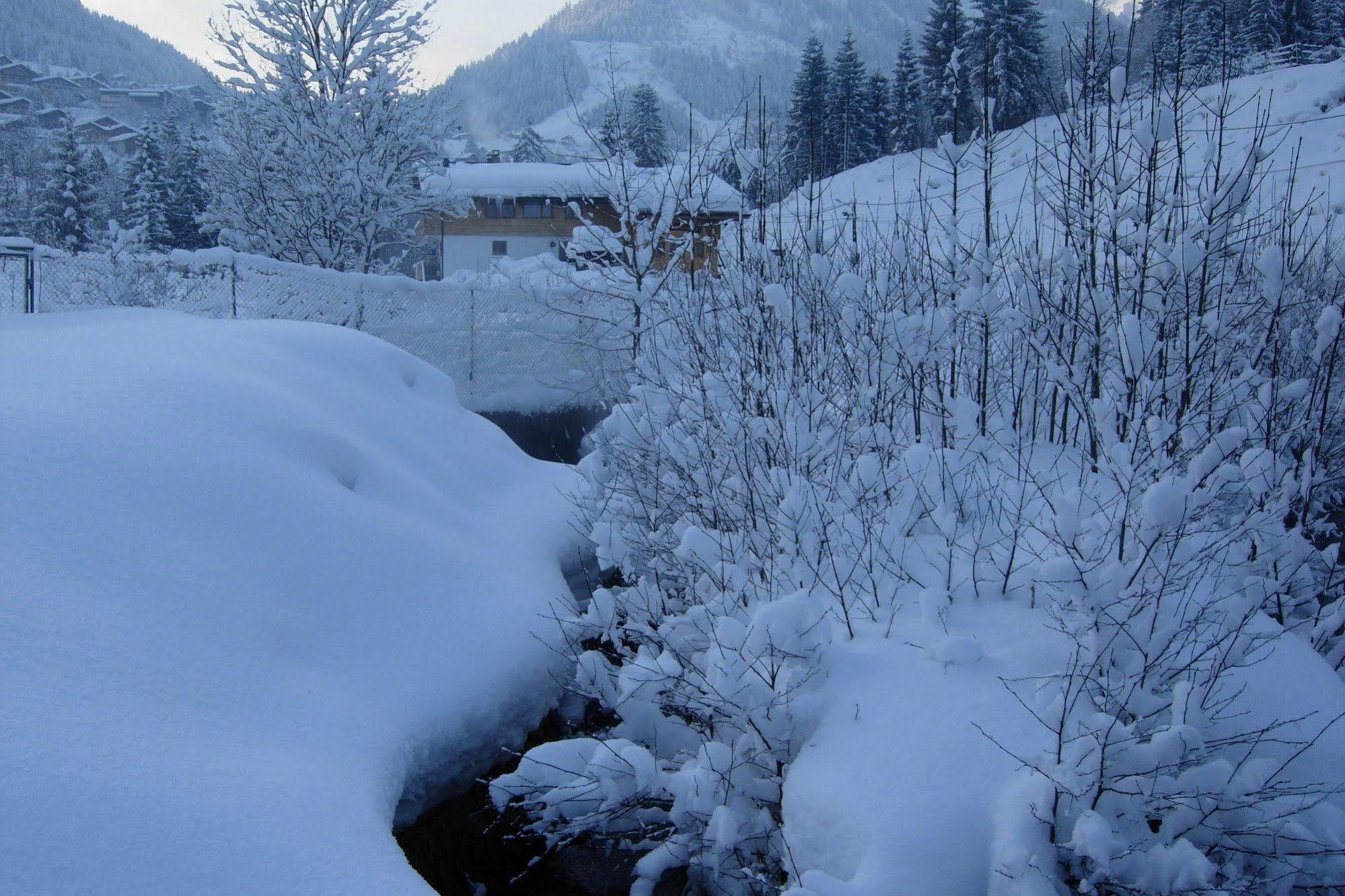 Au Bois De Lune Chatel Luaran gambar