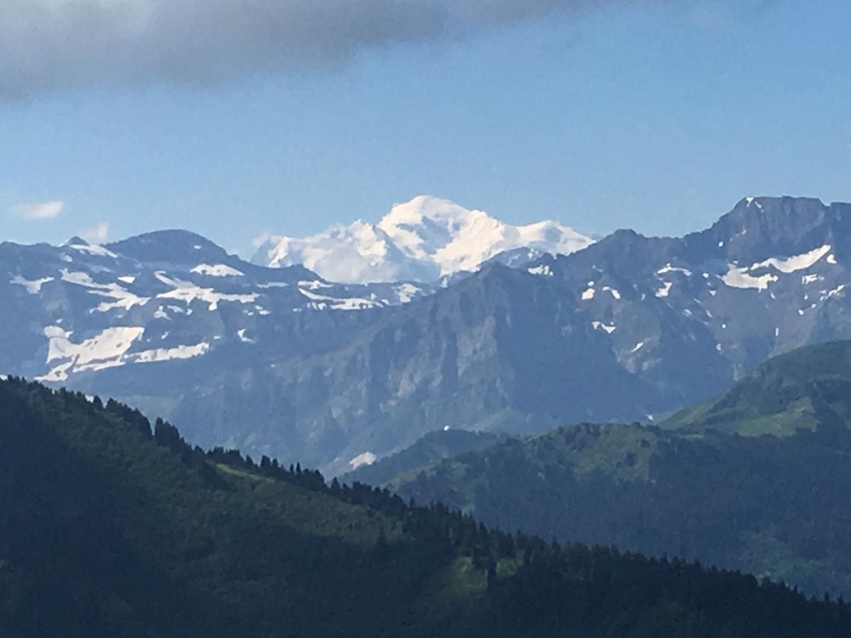 Au Bois De Lune Chatel Luaran gambar